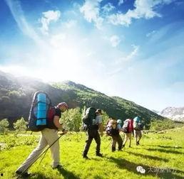 娱乐吃瓜酱爬山