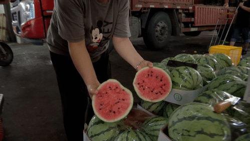 中山娱乐场所吃瓜,揭秘幕后吃瓜故事