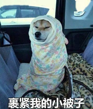 东北打雪仗 表情包,打雪仗表情包大集合